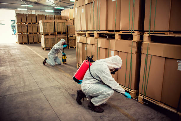 Best Cockroach Control Services  in Mitchell, IL