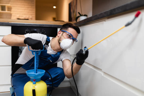 Best Pest Control Near Me in Mitchell, IL