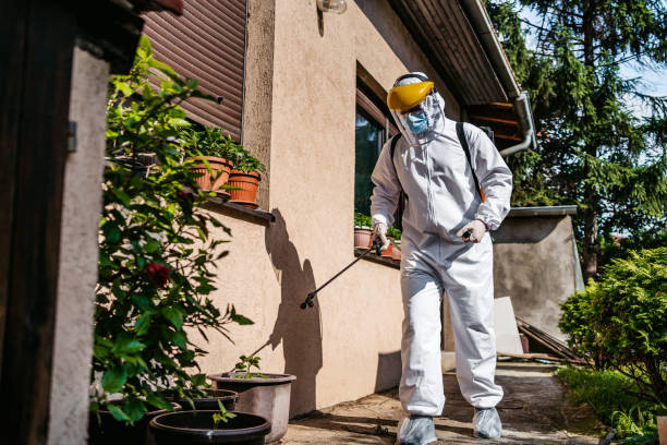 Best Pest Control Near Me in Mitchell, IL