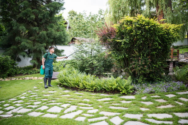Best Local Pest Control Services  in Mitchell, IL