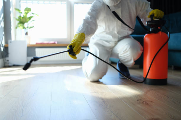 Professional Pest Control in Mitchell, IL