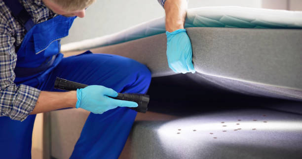 Best Commercial Pest Control Services  in Mitchell, IL