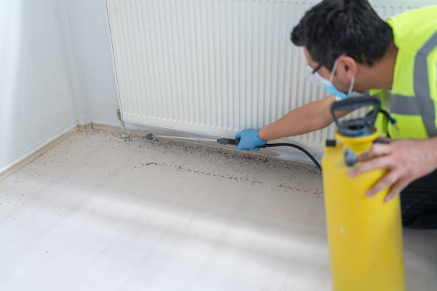 Best Pest Control Near Me  in Mitchell, IL