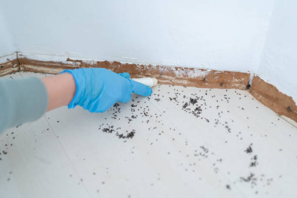 Best Exterminator Services  in Mitchell, IL
